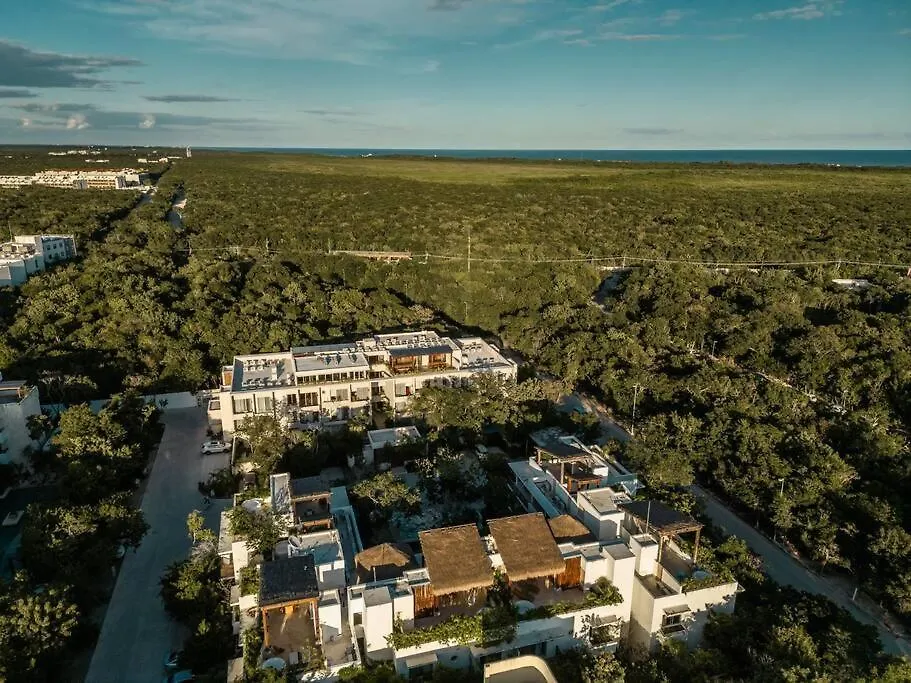 Apartament Condo In Tulum, Pool, Jacuzzi, 3 Beds